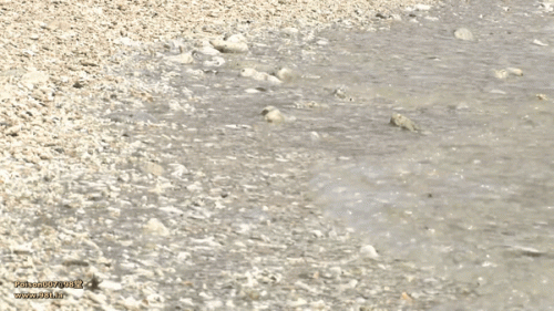240107020601b4cc3.gif