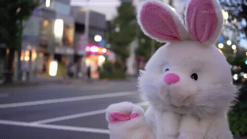 2401070206015023c.gif