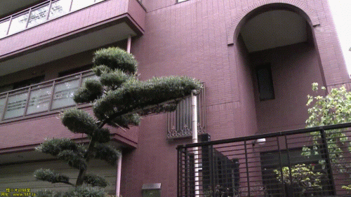 240107020601c7b6c.gif
