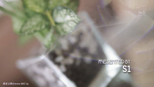 2401070206012fa77.gif