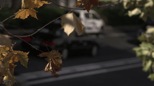 240107020601ed9d3.gif