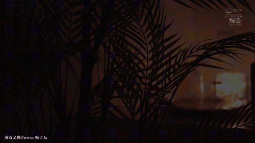 24010702060111ca1.gif