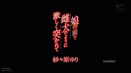 24010702060173760.gif
