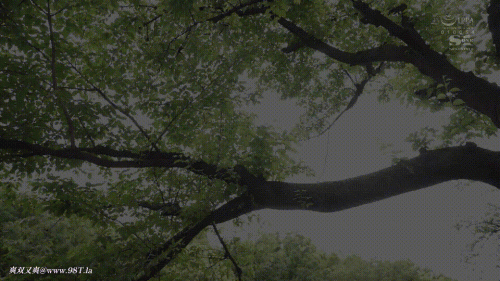240107020601c8c4f.gif