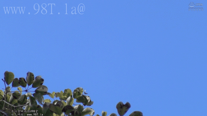 240107020601010db.gif