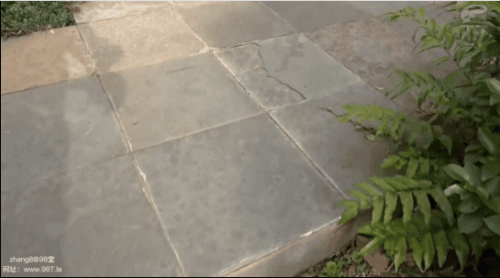 24010702060193f88.gif