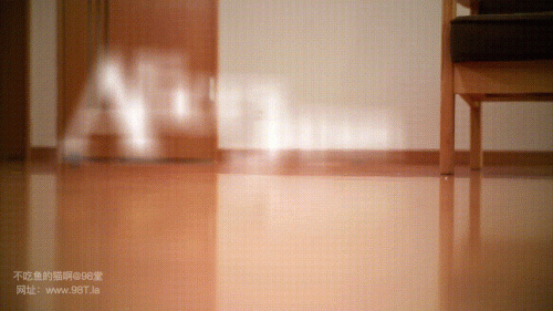 240107020601f15dd.gif