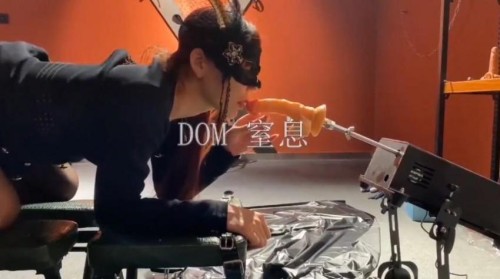 7589_Dom_ssub.jpg