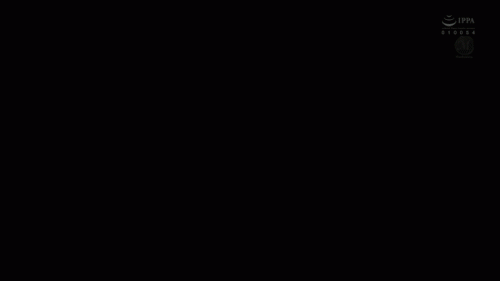 2401070206019e9a6.gif