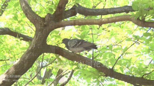 24010702060174a7b.gif