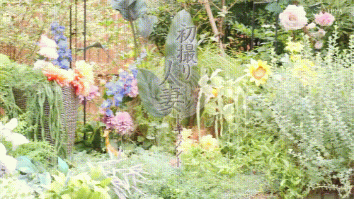 240107020601008c5.gif