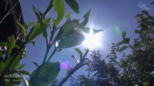 240107020601d7ec5.gif
