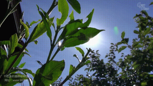 240107020601ff7e2.gif