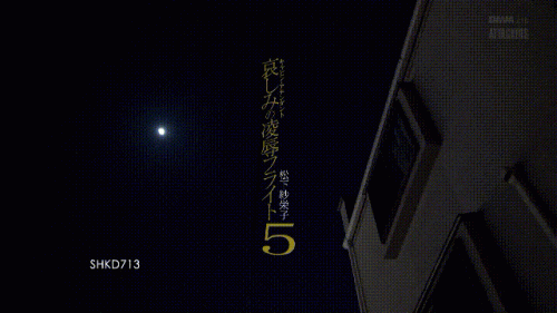 240107020601078a5.gif