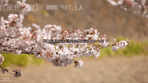 2401070206016cf98.gif