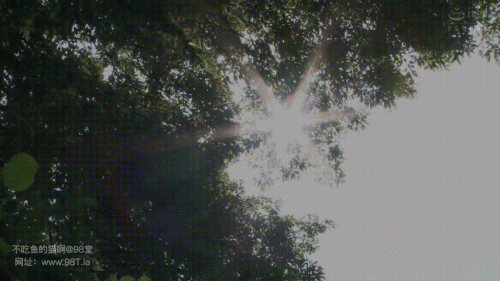 24010702060191778.gif